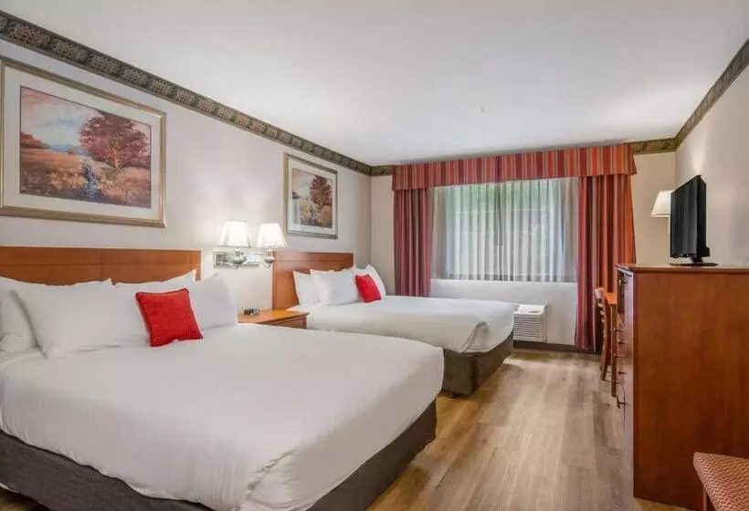 キングサイズベッドのスタンダードルーム, Red Lion Inn & Suites Port Orchard