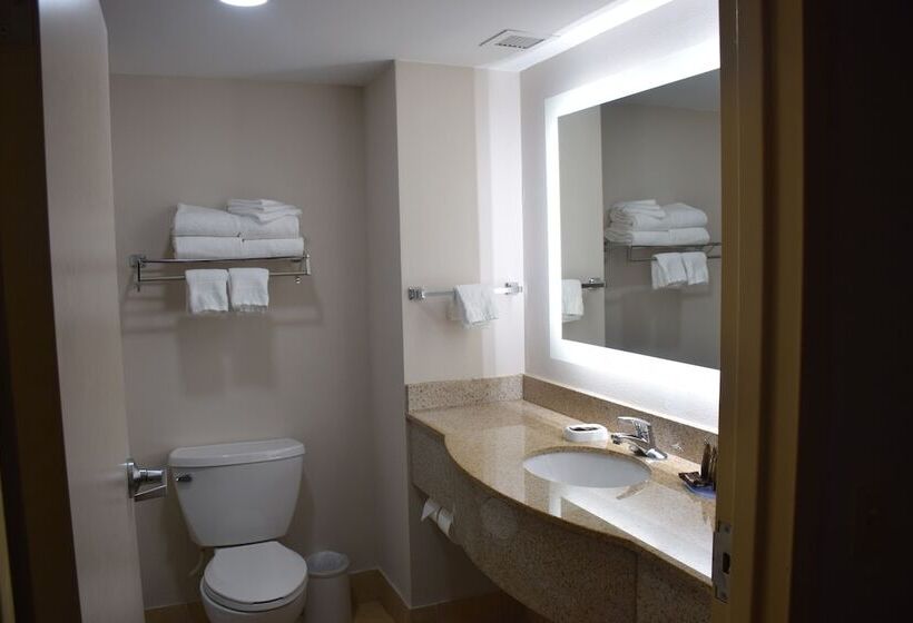 스위트, Wingate By Wyndham Baltimore Bwi Airport