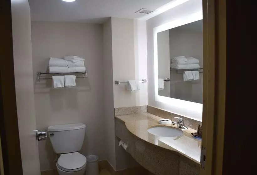 اتاق سوپریور, Wingate By Wyndham Baltimore Bwi Airport