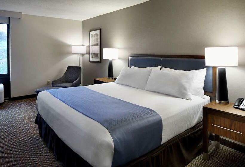 غرفة قياسية سرير كينج لذوى الإحتياجات الخاصة, Wingate By Wyndham St. Clairsville/wheeling