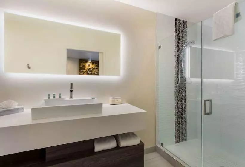 スイート, Surestay Plus Hotel By Best Western Tempe University