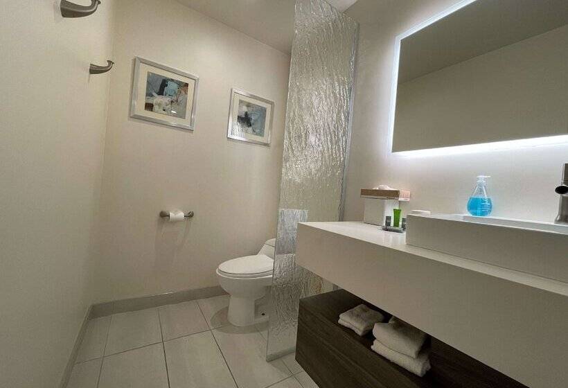 스위트, Surestay Plus Hotel By Best Western Tempe University