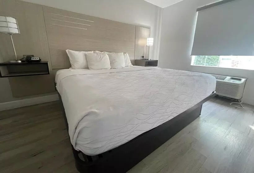 身障者適用スイートルーム, Surestay Plus Hotel By Best Western Tempe University