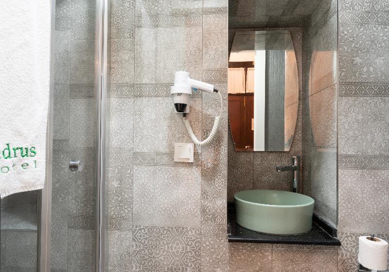 اتاق استاندارد یک نفره, Cedrus