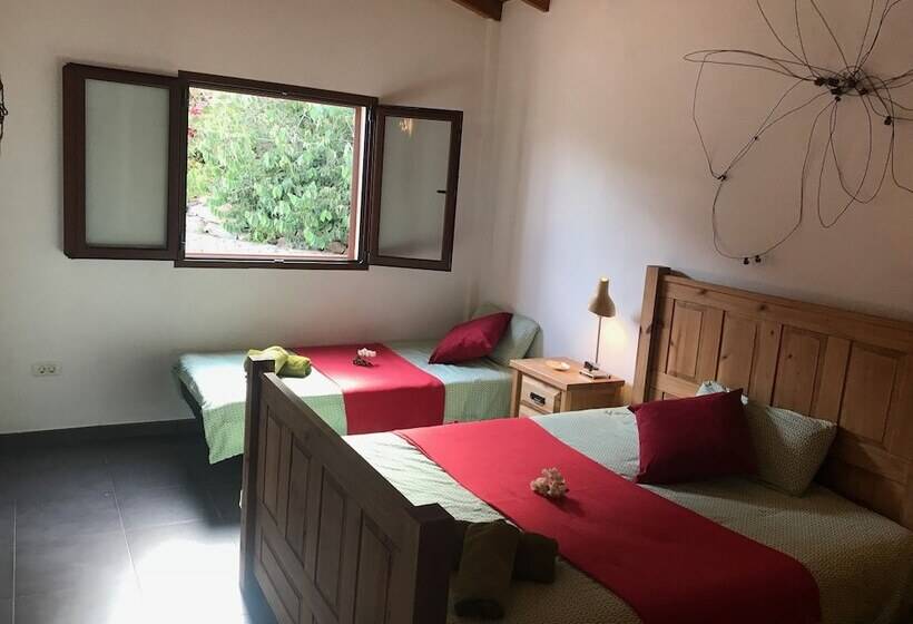 Дом 4 Спальни, Ecotara Canary Islands