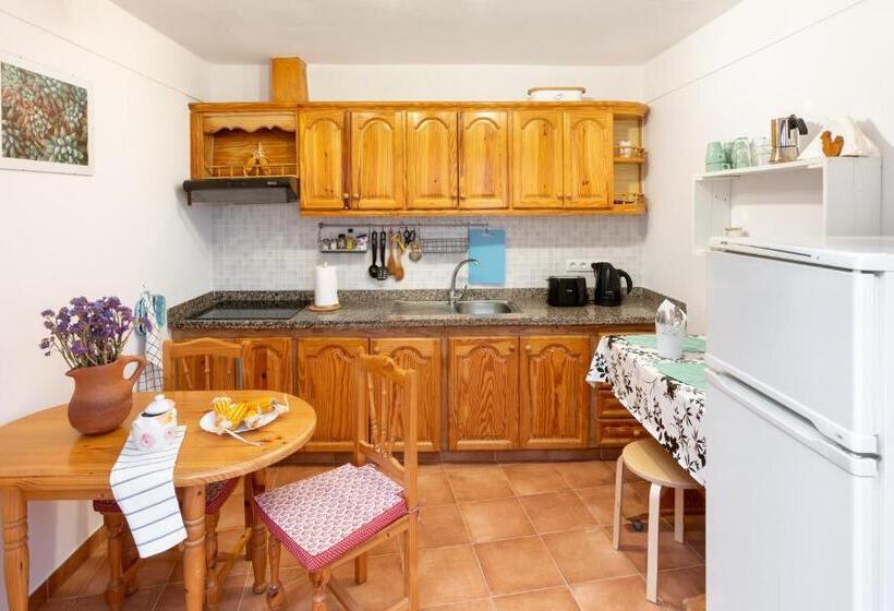 スタンダードルーム, Tabaiba Guesthouse