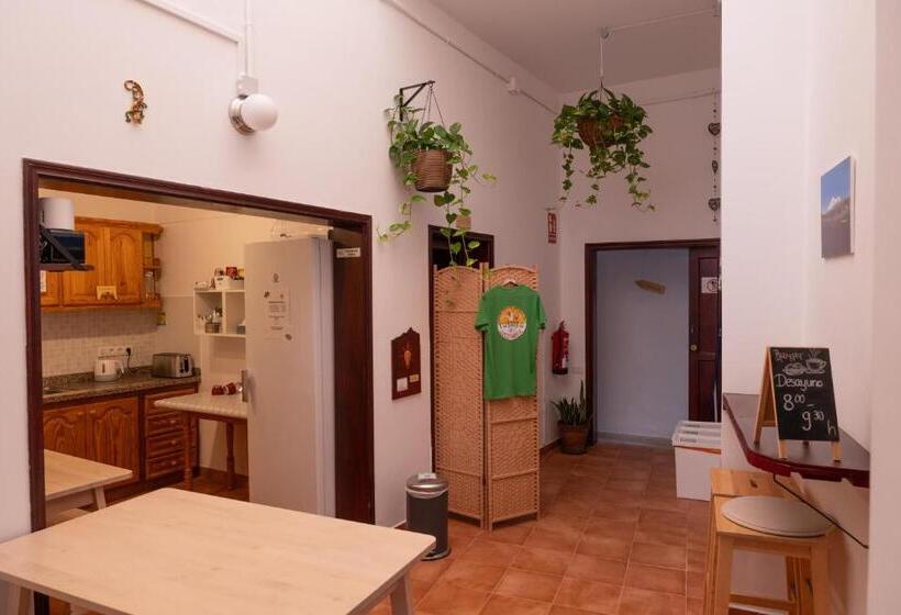 Номер Стандарт 2 Двуспальные Кровати, Tabaiba Guesthouse