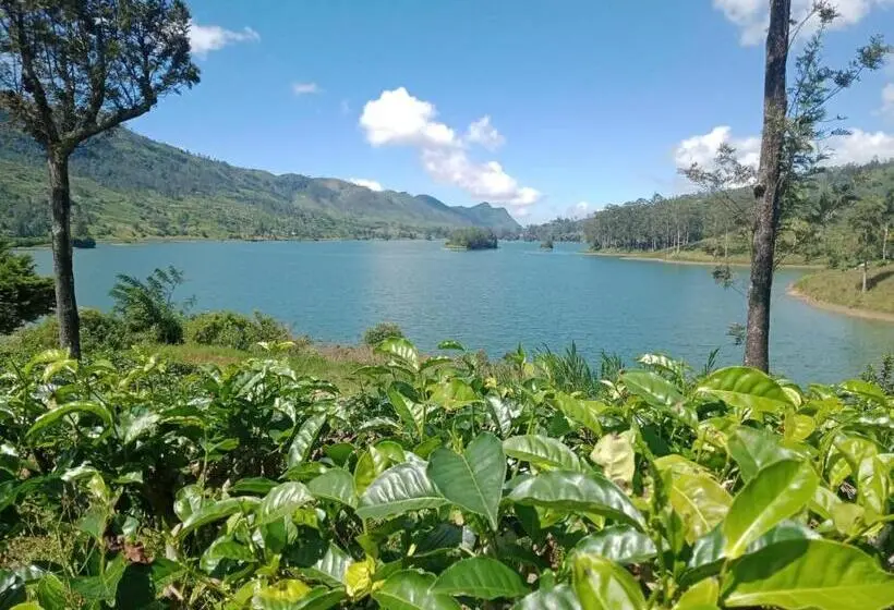 اتاق لوکس, Princess Of Dickoya Homestay