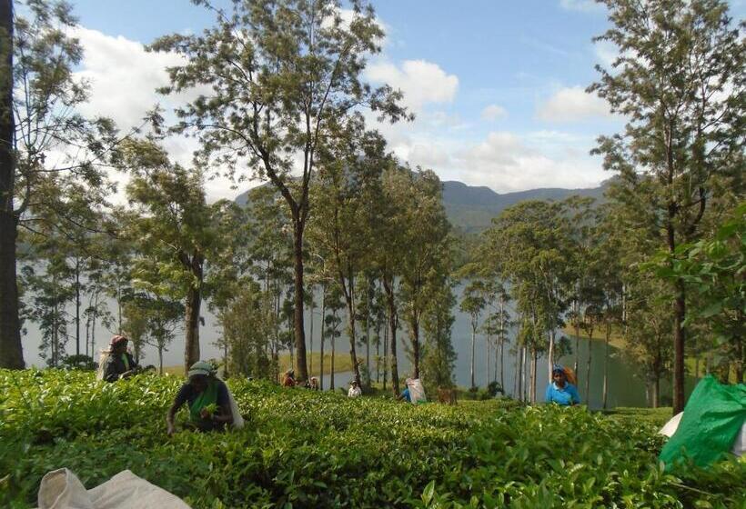 Standard Room with Balcony, Princess Of Dickoya Homestay