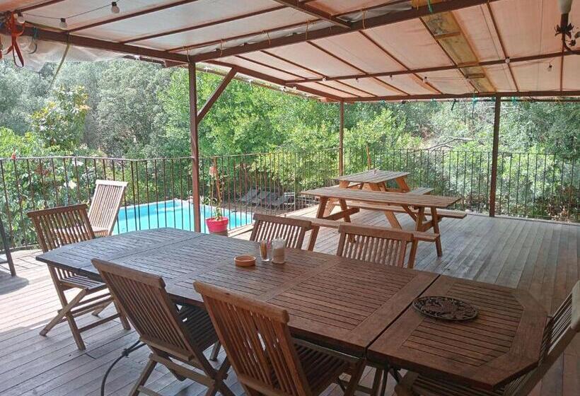 4인용 스탠다드 룸, Berbi Rosse