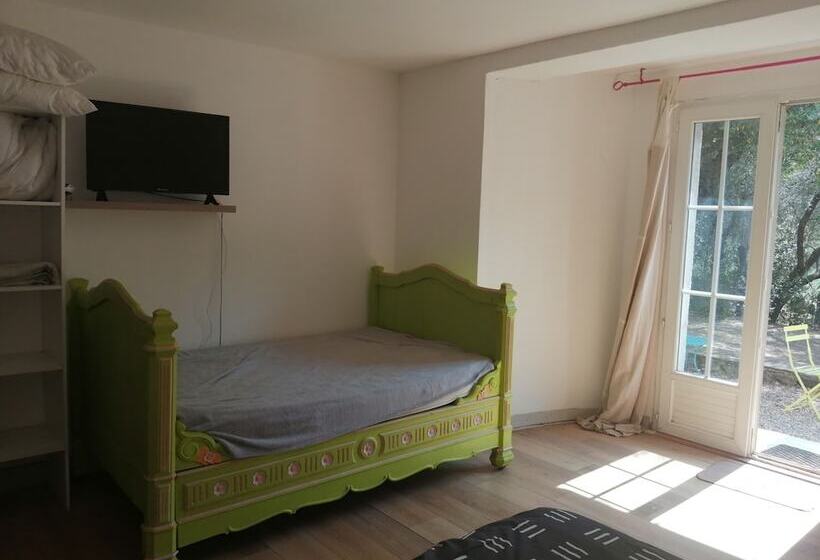 스탠다드 룸, Berbi Rosse