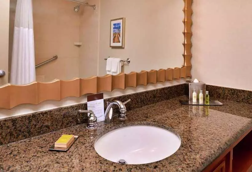 身障者適用スタンダードルーム, Doubletree By Hilton Cherry Hill Philadelphia