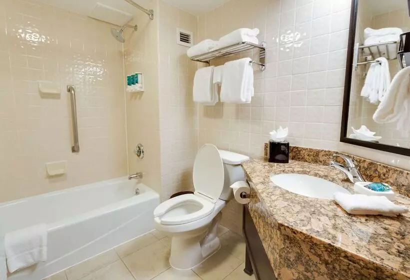 デラックスルーム, Drury Inn & Suites San Antonio Northeast