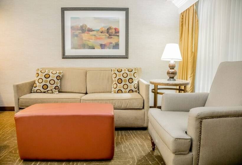 스위트, Embassy Suites By Hilton Lexington Green