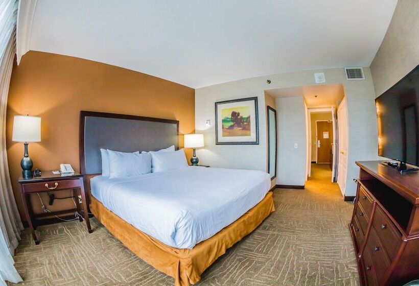 스위트, Embassy Suites By Hilton Lexington Green