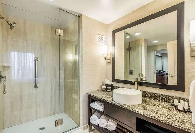 스위트, Embassy Suites By Hilton Lexington Green