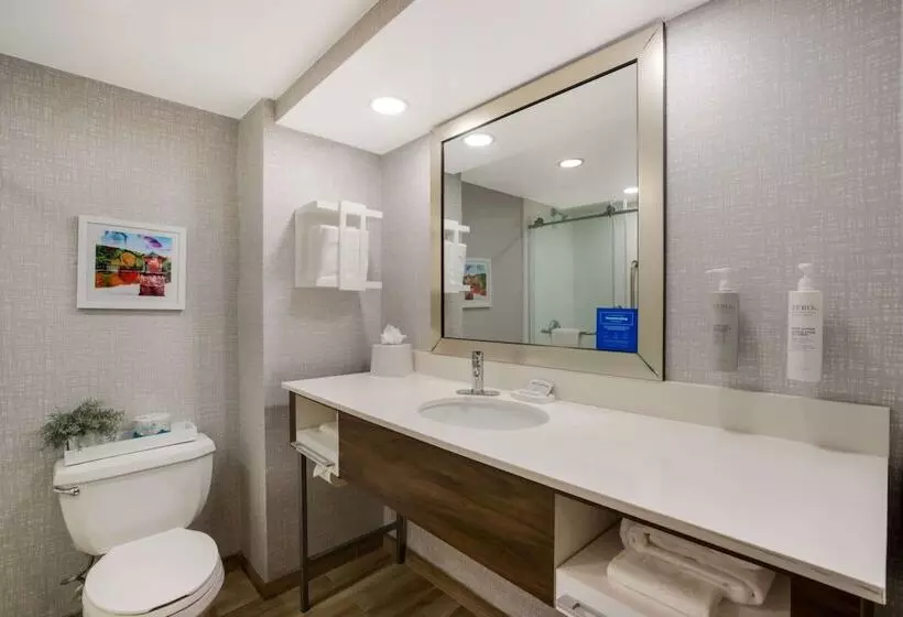 スタンダードルーム, Hampton Inn Philadelphia / Willow Grove
