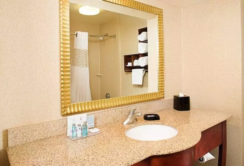 スタンダードルーム, Hampton Inn Philadelphia / Willow Grove