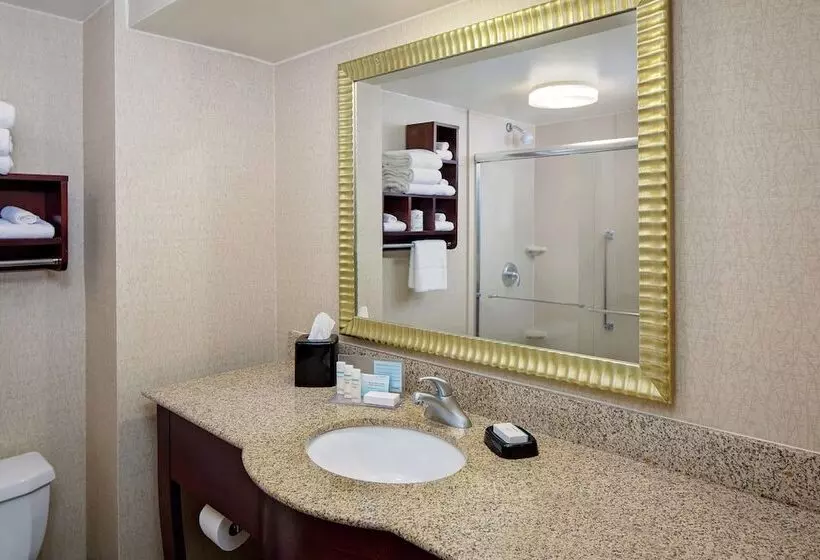 スタンダードルーム, Hampton Inn Philadelphia / Willow Grove