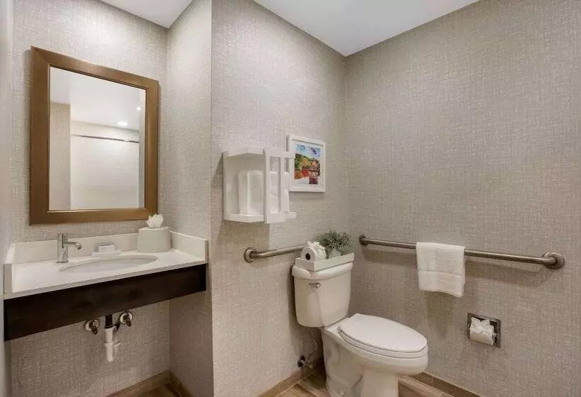身障者適用スタンダードルーム, Hampton Inn Philadelphia / Willow Grove
