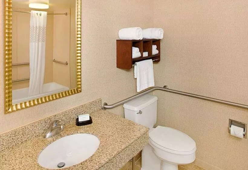 身障者適用スタンダードルーム, Hampton Inn Philadelphia / Willow Grove
