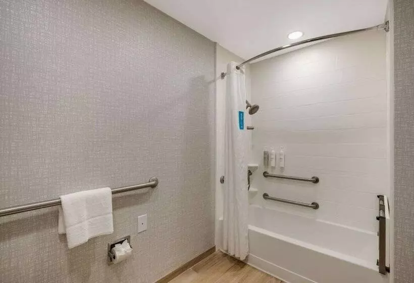 身障者適用スタンダードルーム, Hampton Inn Philadelphia / Willow Grove