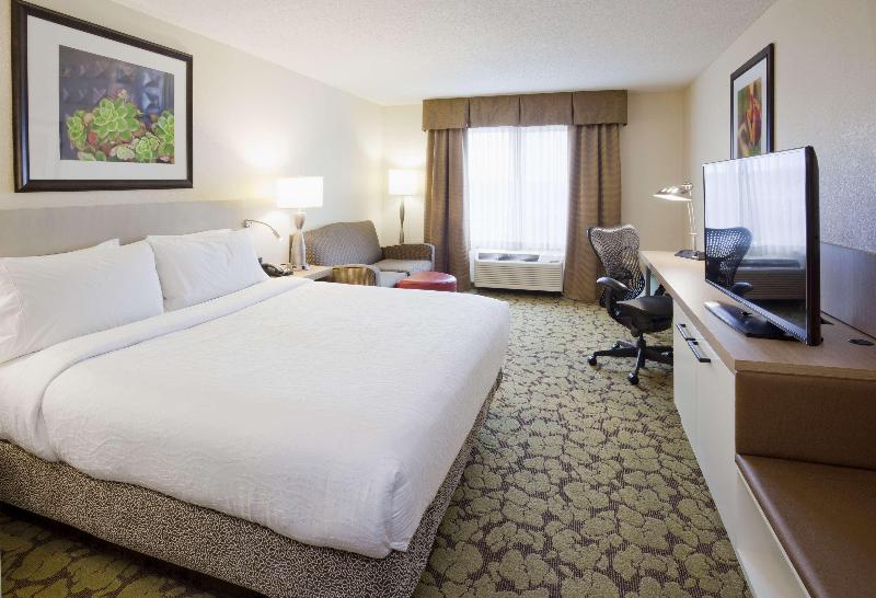 Стандартный Номер Кровать Кинг, Hilton Garden Inn Minneapolis Eagan