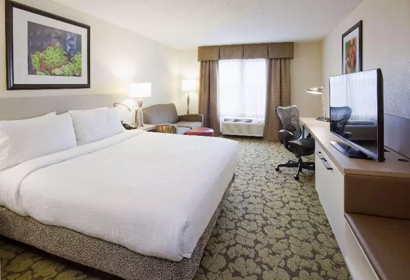 キングサイズベッドのスタンダードルーム, Hilton Garden Inn Minneapolis Eagan