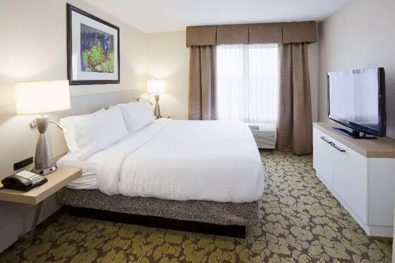 キングサイズベッドのスイートルーム, Hilton Garden Inn Minneapolis Eagan