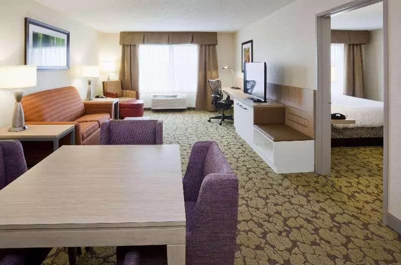 キングサイズベッドのスイートルーム, Hilton Garden Inn Minneapolis Eagan