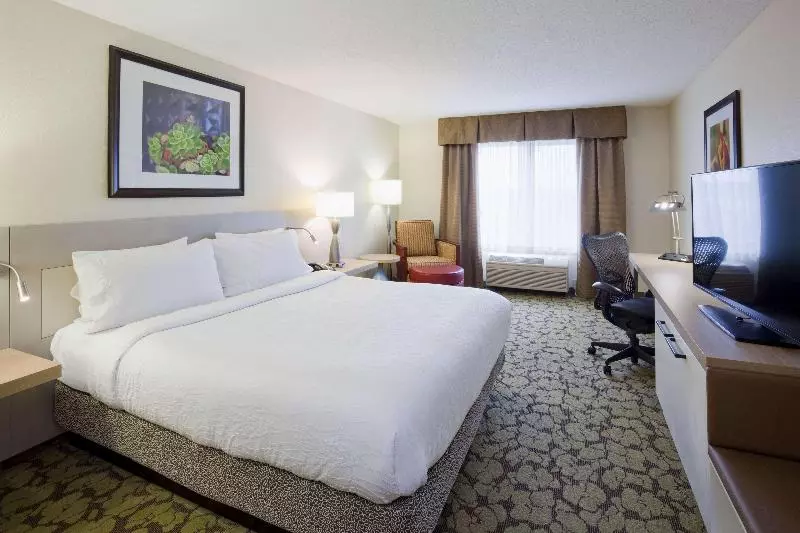 キングサイズベッドのスタンダードルーム, Hilton Garden Inn Minneapolis Eagan