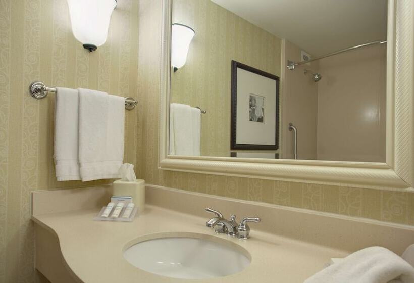 身障者適用スタンダードルーム, Hilton Garden Inn San Francisco Arpt North
