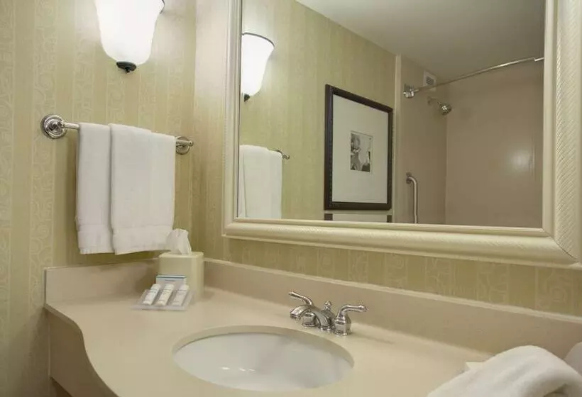 اتاق استاندارد برای معلولان, Hilton Garden Inn San Francisco Arpt North