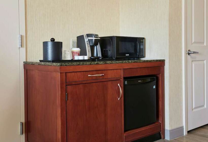 适合残疾人使用的标准间, Hilton Garden Inn San Francisco Arpt North