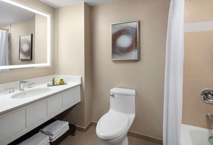 스탠다드 룸 킹사이즈 침대, Hilton Newark Airport
