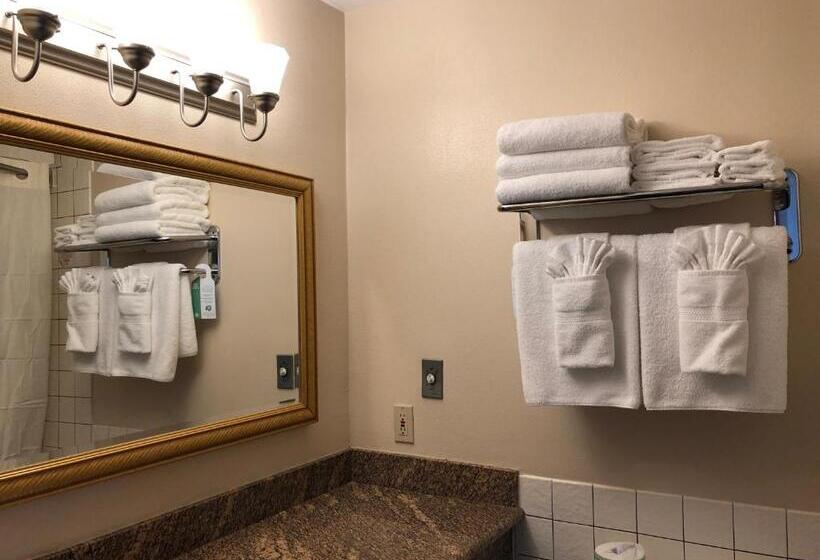 חדר סטנדרט עם נוף, Port Angeles Inn