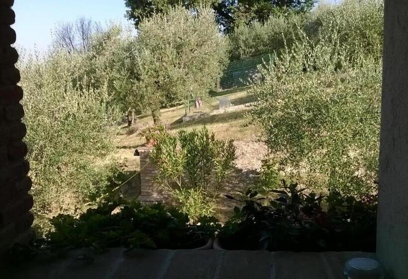 Апартаменты 3 Спальни, Agriturismo La Cantina San Martino