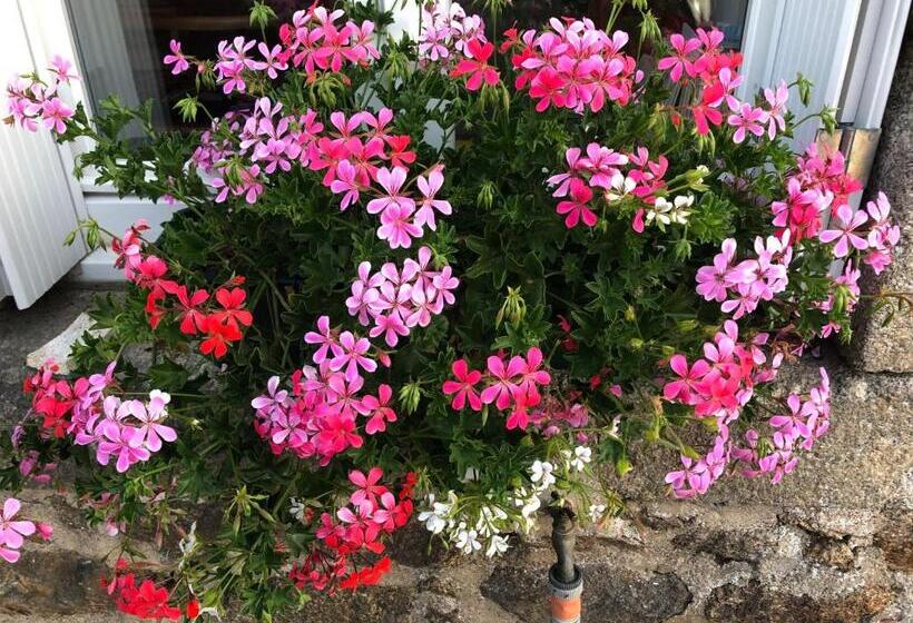 Standardrum, Chambre D Hôtes De Bellevue