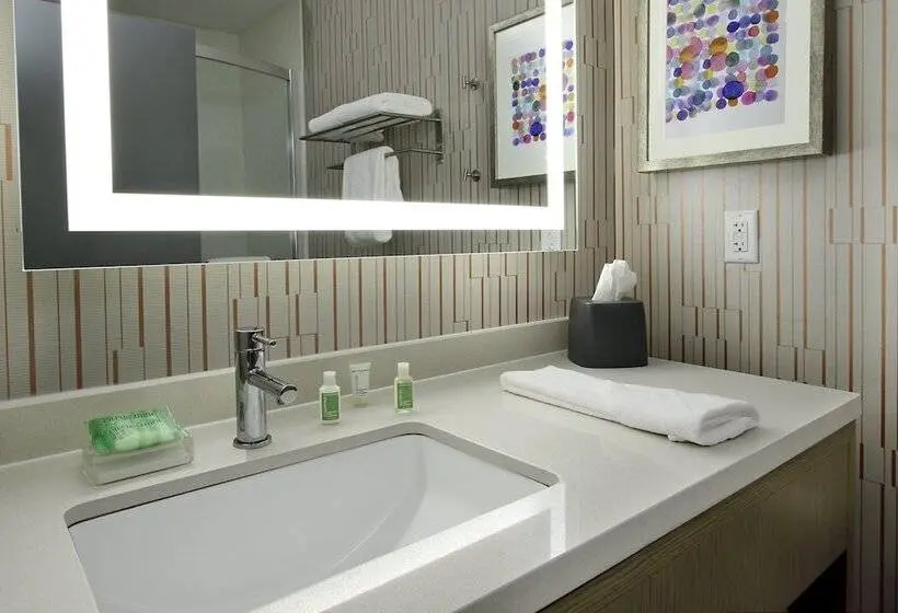 スタンダードルーム, Holiday Inn Hattiesburg North, An Ihg