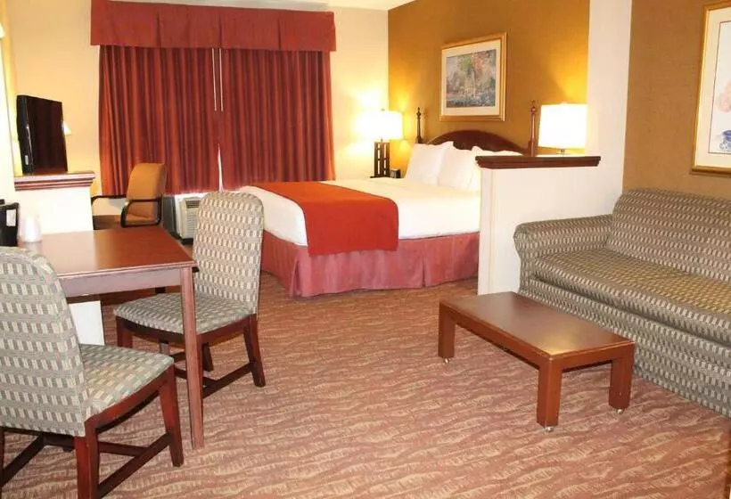 اتاق استاندارد با تخت بزرگ, Auburn Place Hotel & Suites Paducah
