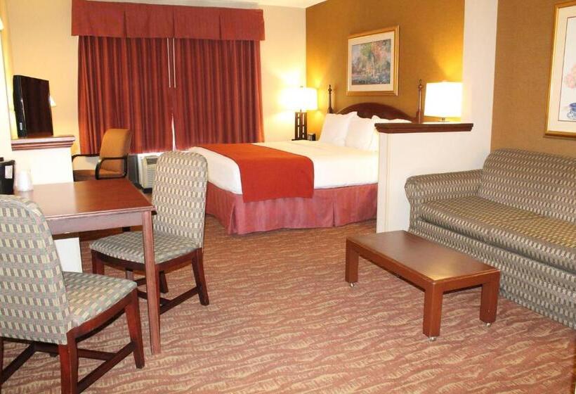 חדר סטנדרט, מיטת קינג, מותאם לאדם עם מוגבלויות, Auburn Place Hotel & Suites Paducah