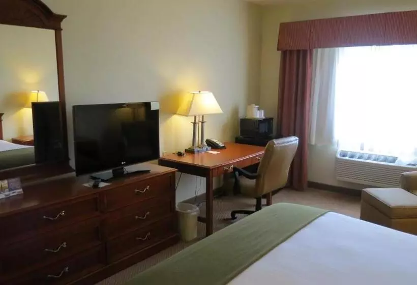 キングサイズベッドのデラックスルーム, Baymont Inn & Suites By Wyndham Holbrook