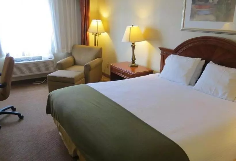 キングサイズベッドのスタンダードルーム, Baymont Inn & Suites By Wyndham Holbrook