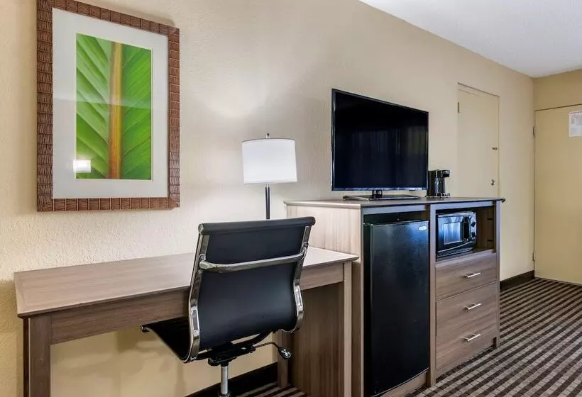 ２ダブルベッドのスタンダードルーム, Best Western Downtown Stuart
