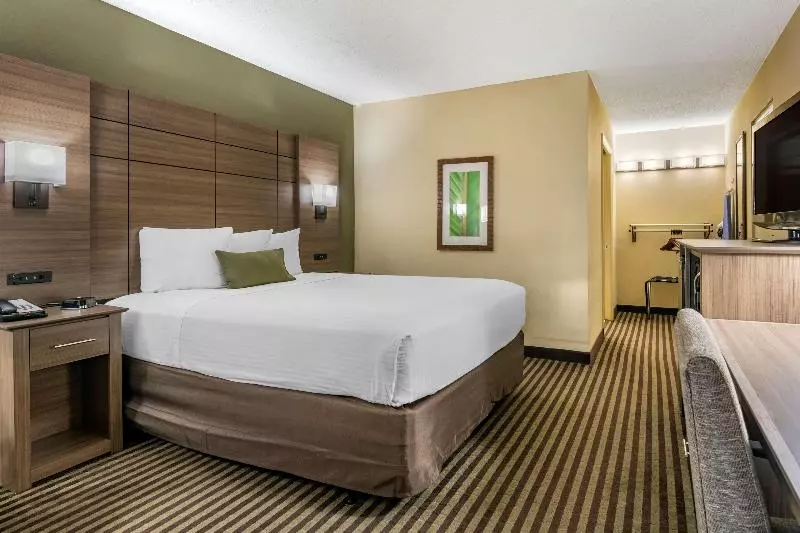 身障者適用スタンダードルーム, Best Western Downtown Stuart