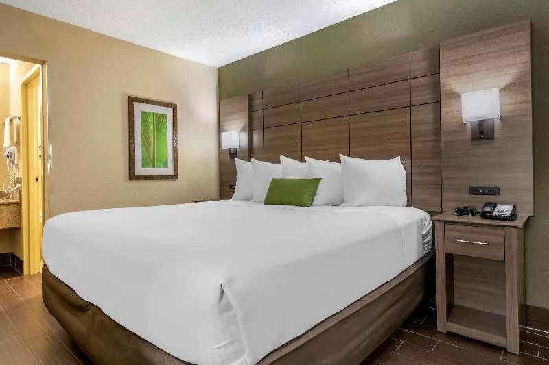 キングサイズベッドのスタンダードルーム, Best Western Downtown Stuart