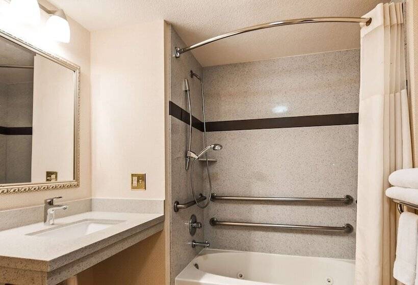 جناح لذوى الاحتياجات الخاصة, Best Western Plus Twin View Inn & Suites