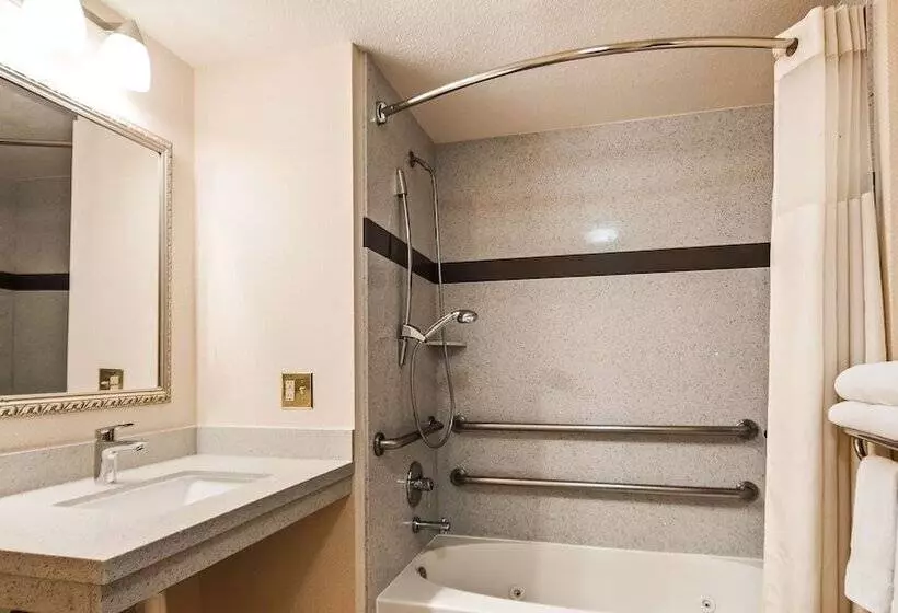 身障者適用スイートルーム, Best Western Plus Twin View Inn & Suites