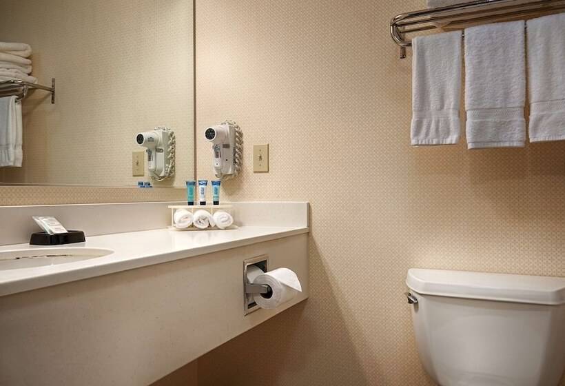 스탠다드 룸 더블 침대, Best Western Plus Twin View Inn & Suites