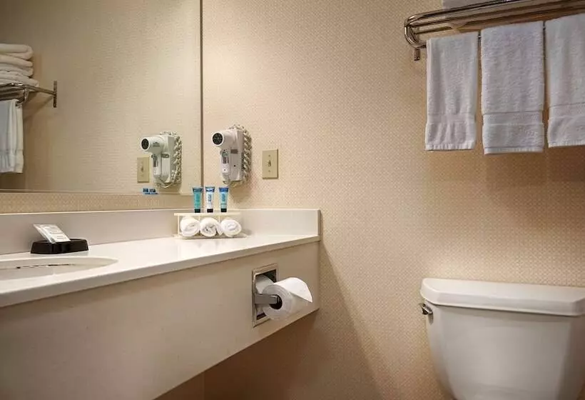 ダブルベッドスタンダードルーム, Best Western Plus Twin View Inn & Suites